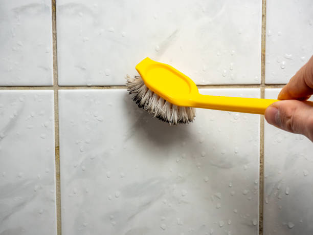 Mold Removal and Inspection in Griggsville, IL