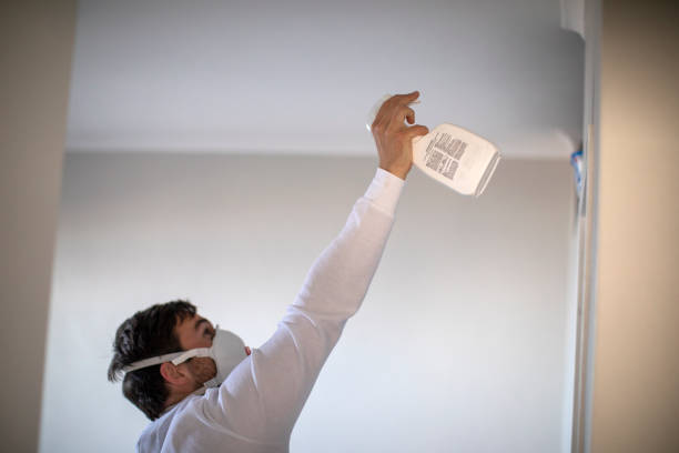  Griggsvle, IL Mold Removal Pros