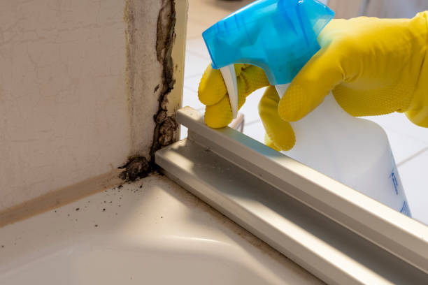 Best Emergency Mold Removal  in Griggsvle, IL