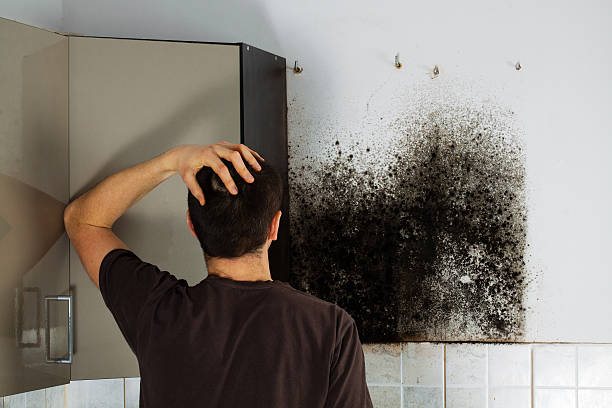 Best Mold Cleaning Services  in Griggsvle, IL